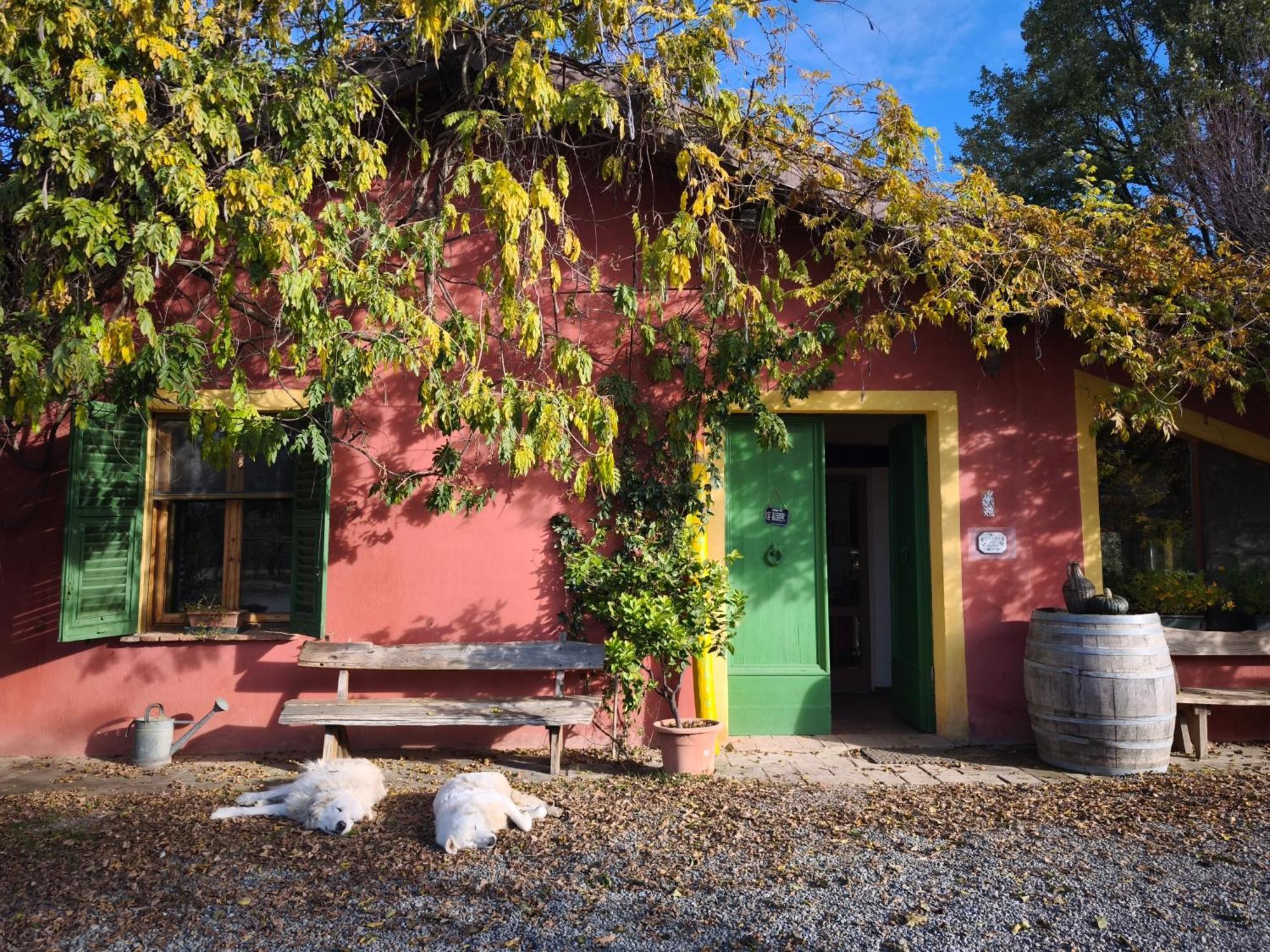 Agriturismo Cascina Degli Ulivi Novi Ligure Exterior photo